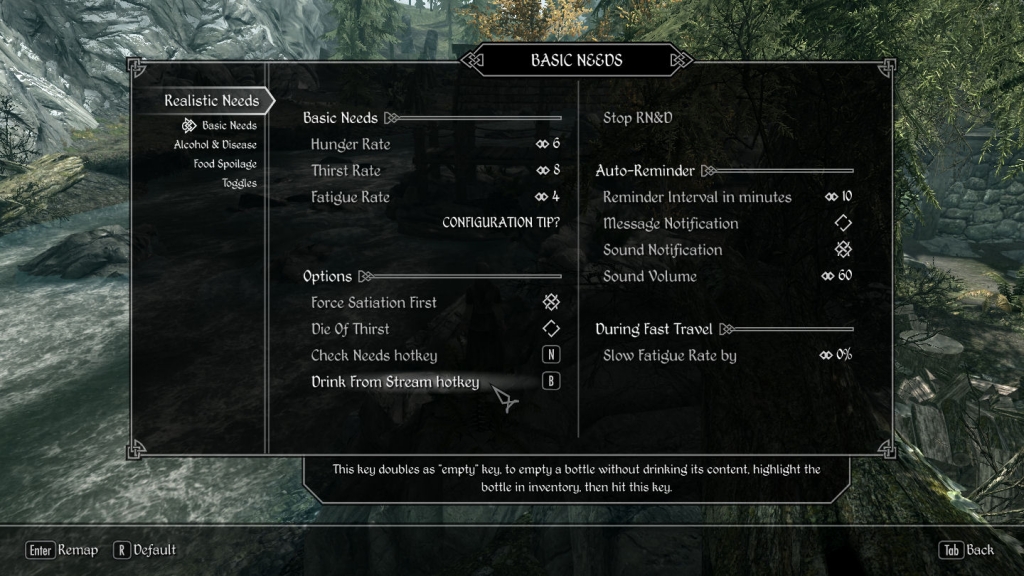   realistic needs and diseases  skyrim  